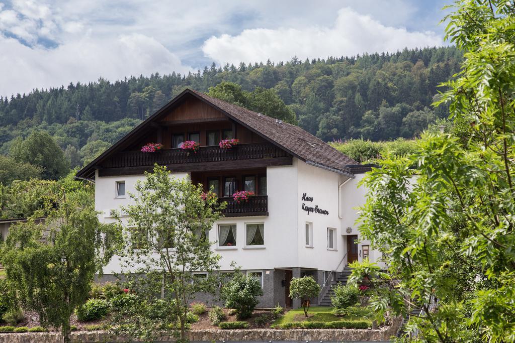 Hôtel Haus Kesper-Brunen à Willingen  Extérieur photo