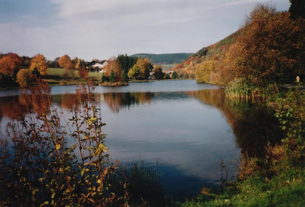 Hôtel Haus Kesper-Brunen à Willingen  Extérieur photo